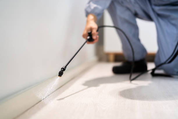 Bed Bug Pre-Treatment Preparation Assessment in Blue Rapids