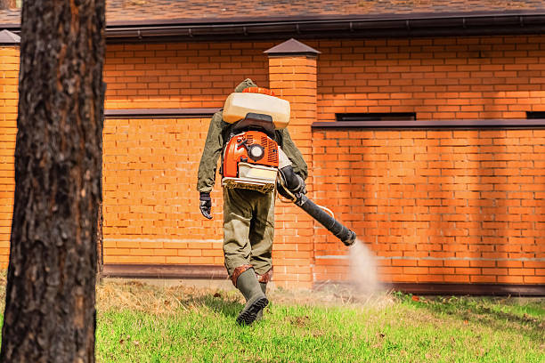 Bed Bug Clearance Verification and Documentation in Blue Rapids
